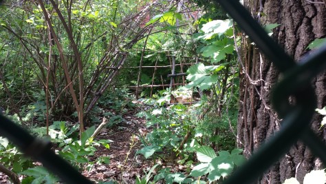 Les petits parcs cachés